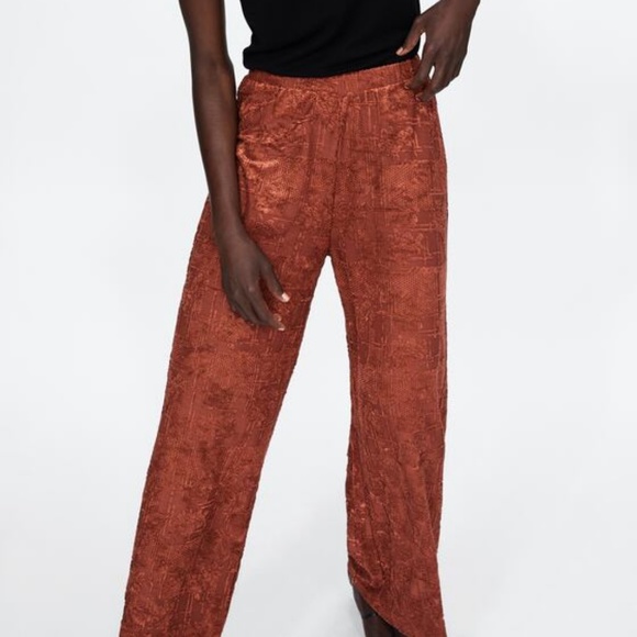 NWT Zara Size M Terracotta Wide Leg Textured Pants - Picture 4 of 8